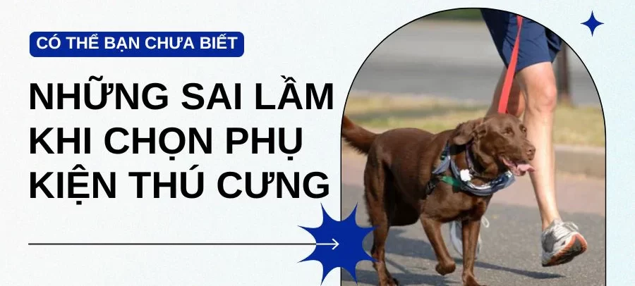 sai lầm khi lựa chọn phụ kiện cho thú cưng