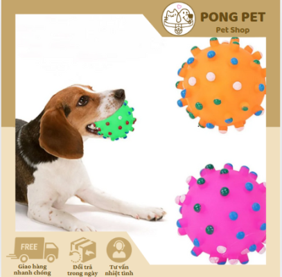 Chăm Sóc Thú Cưng Thông Minh – Bí Quyết Giúp Boss Luôn Khỏe Mạnh & Phong Cách 