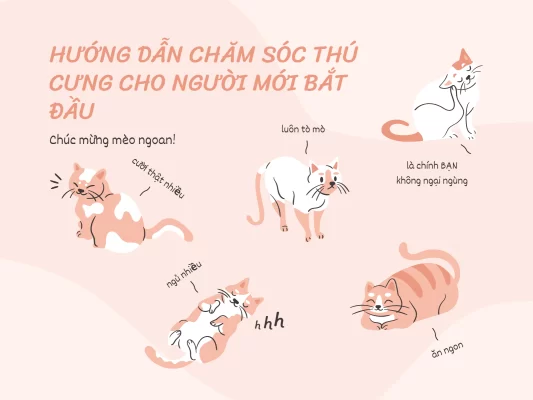 mẹo hay nuôi thú cưng tại nhà của Pong Pet