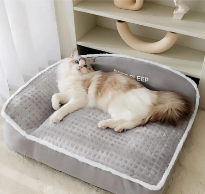 TOP 7 Phụ Kiện Cần Thiết Cho Chó Mèo Mà Bạn Không Thể Bỏ Qua