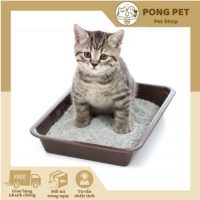 Khay vệ sinh cho mèo Pong Pet - Chất liệu bền, dễ vệ sinh