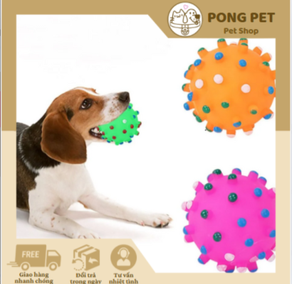  Top Đồ Chơi Cho Chó Giúp Giải Trí, Vận Động Và Giảm Stress Hiệu Quả Nhất 2025