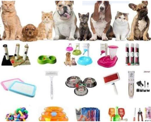 Phụ Kiện Thú Cưng Giá Rẻ – Giải Pháp Tiết Kiệm Mà Vẫn Chất Lượng Cho Pet Yêu