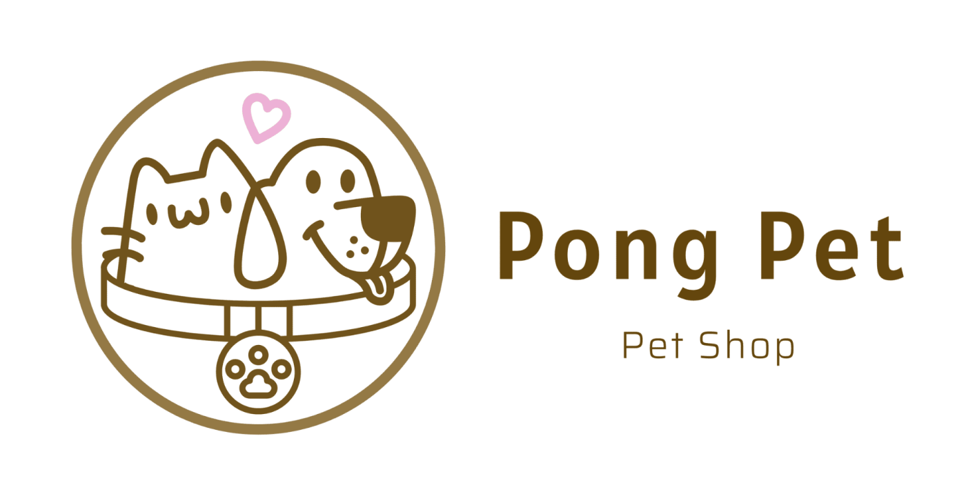 Phụ Kiện Thú Cưng Giá Rẻ – Giải Pháp Tiết Kiệm Mà Vẫn Chất Lượng Cho Pet Yêu