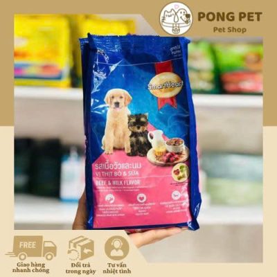 Chăm Sóc Thú Cưng Thông Minh – Bí Quyết Giúp Boss Luôn Khỏe Mạnh & Phong Cách 