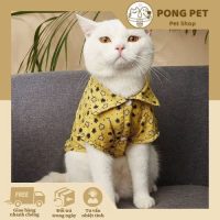 Áo Sơ Mi Hoa Vàng Cho Mèo – Phong Cách Thời Trang Dành Riêng Cho Boss Yêu