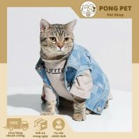 Áo Thun + Áo Khoác Jean Thời Trang Cho Mèo – Phong Cách Cá Tính, Siêu Dễ Thương!