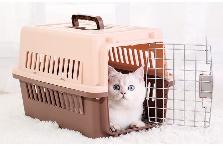 Phân biệt các loại lồng vận chuyển: loại nào phù hợp cho chó/mèo