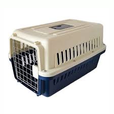 5 món phụ kiện nên có khi dẫn thú cưng đi chơi xa