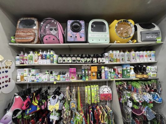 5 phụ kiện nên có khi dẫn thú cưng đi chơi xa