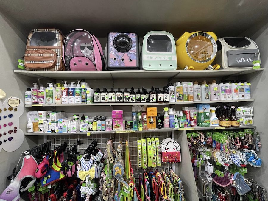 5 phụ kiện nên có khi dẫn thú cưng đi chơi xa