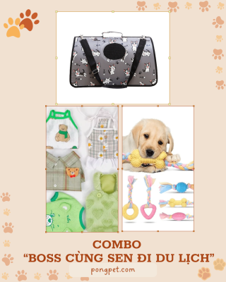 Top 3 combo đồ cho Boss mới về nhà – Ưu đãi hot chỉ có trên Shopee