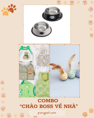 Top 3 combo đồ cho Boss mới về nhà – Ưu đãi hot chỉ có trên Shopee