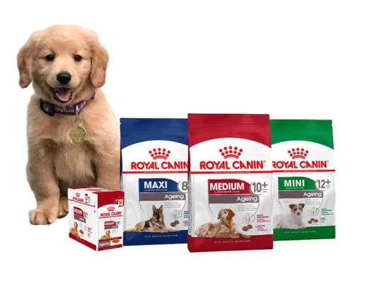 Dấu hiệu bạn là sen lần đầu nuôi boss